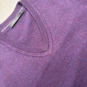 Raffi V-Neck Sweater Mens Small Purple 100% Extra Fine Merino Wool Dark Academia